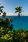 Palm trees and tropical vegetation on a beach in the Indian Ocean Seychelles Art Print